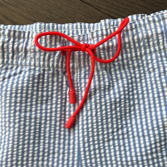 Ladies pinstripe JCrew shorts size large. - Picture 2 of 6